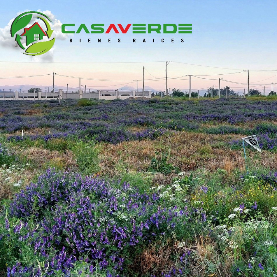 TERRENOS CON ESCRITURA EN "HACIENDA LAS NUBES"