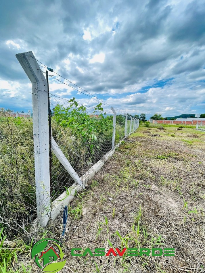 VENTA TERRENO CELESTINA SOBRE AVENIDA PRINCIPAL ASFALTADA TOTALMENTE ALAMBRADO