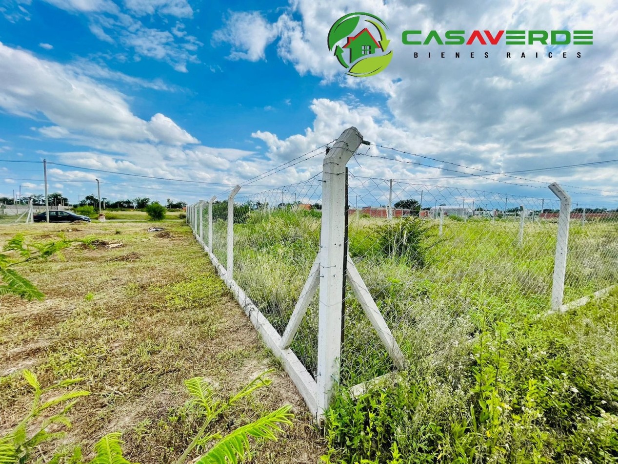 VENTA TERRENO CELESTINA SOBRE AVENIDA PRINCIPAL ASFALTADA TOTALMENTE ALAMBRADO