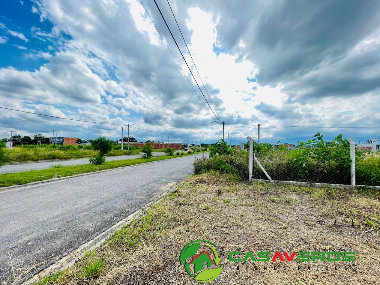 VENTA TERRENO CELESTINA SOBRE AVENIDA PRINCIPAL ASFALTADA TOTALMENTE ALAMBRADO