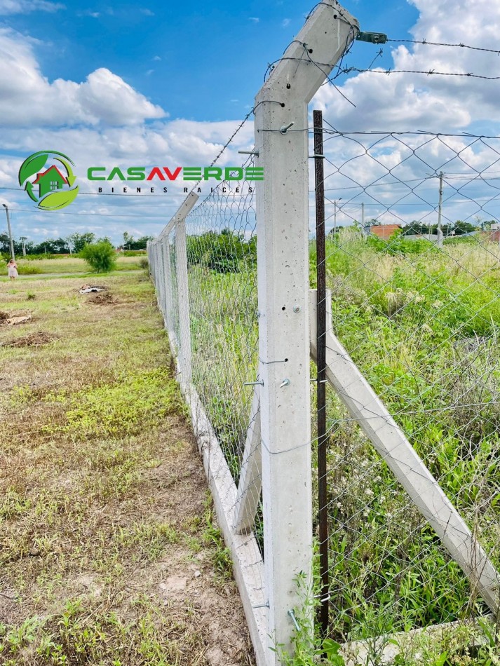 VENTA TERRENO CELESTINA SOBRE AVENIDA PRINCIPAL ASFALTADA TOTALMENTE ALAMBRADO