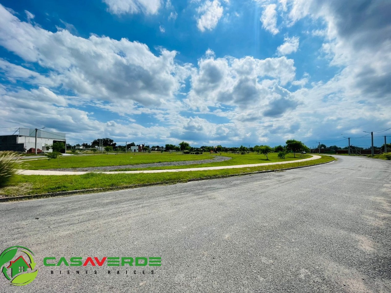 VENTA TERRENO CELESTINA SOBRE AVENIDA PRINCIPAL ASFALTADA TOTALMENTE ALAMBRADO