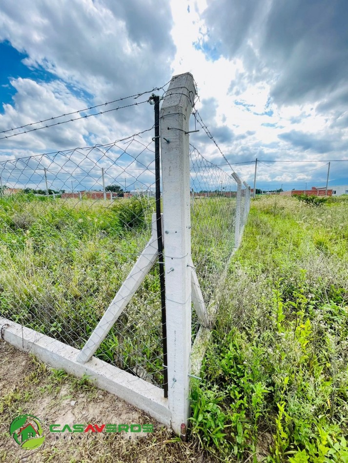 VENTA TERRENO CELESTINA SOBRE AVENIDA PRINCIPAL ASFALTADA TOTALMENTE ALAMBRADO