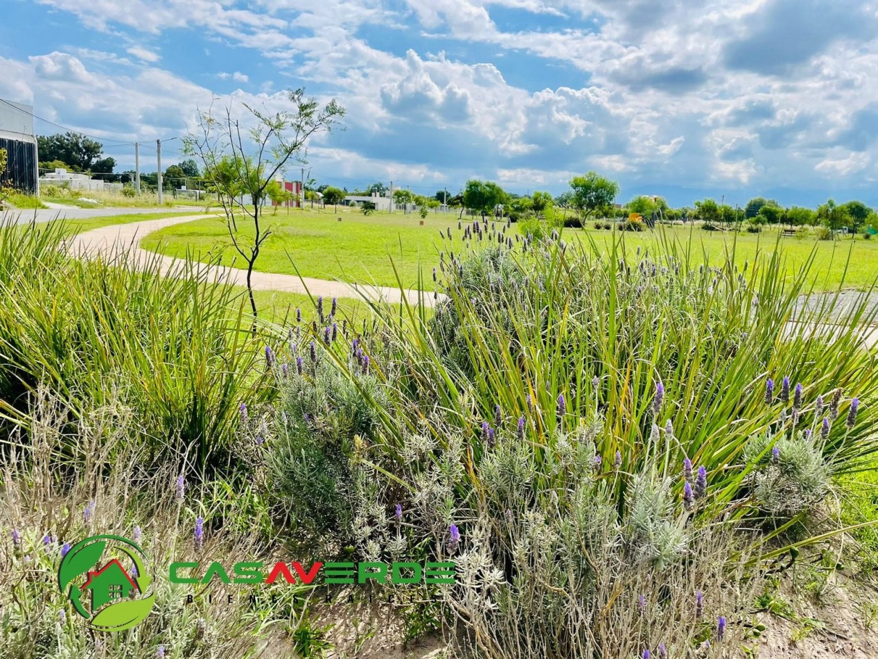 VENTA TERRENO CELESTINA SOBRE AVENIDA PRINCIPAL ASFALTADA TOTALMENTE ALAMBRADO