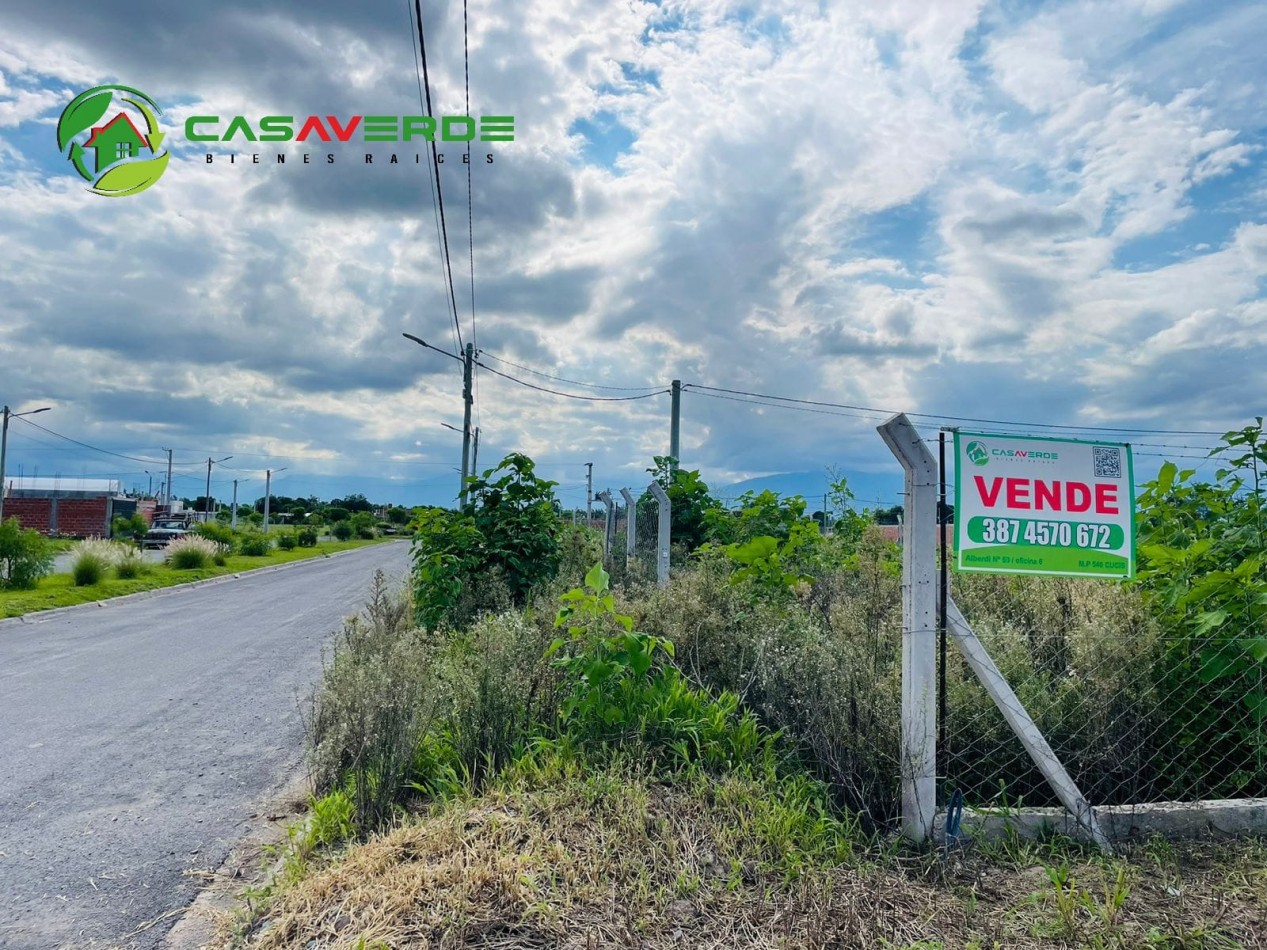 VENTA TERRENO CELESTINA SOBRE AVENIDA PRINCIPAL ASFALTADA TOTALMENTE ALAMBRADO