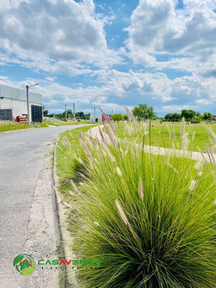 VENTA TERRENO CELESTINA SOBRE AVENIDA PRINCIPAL ASFALTADA TOTALMENTE ALAMBRADO