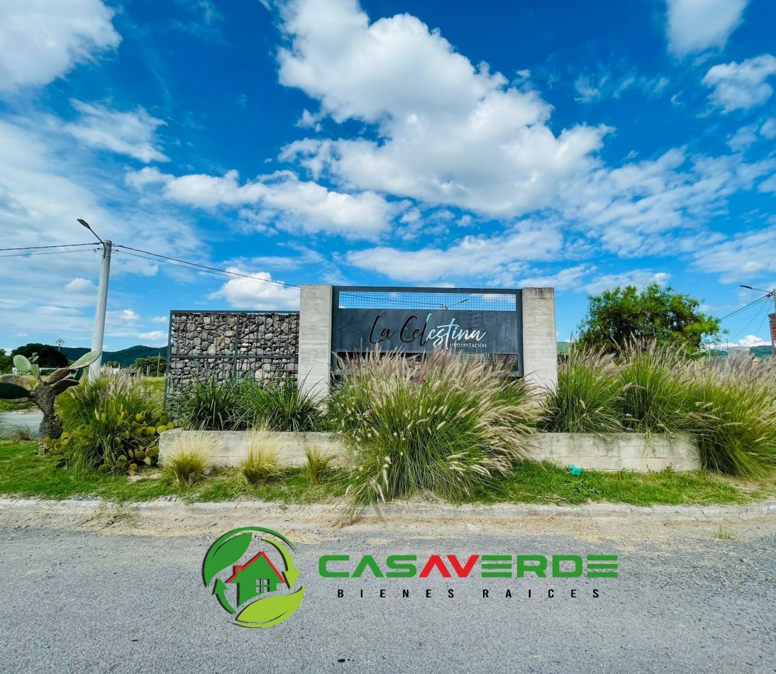 VENTA TERRENO CELESTINA SOBRE AVENIDA PRINCIPAL ASFALTADA TOTALMENTE ALAMBRADO