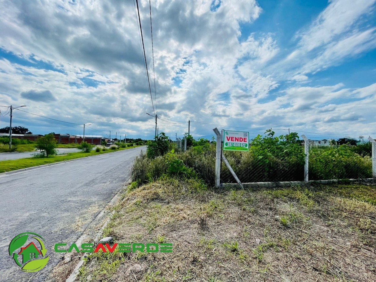 VENTA TERRENO CELESTINA SOBRE AVENIDA PRINCIPAL ASFALTADA TOTALMENTE ALAMBRADO