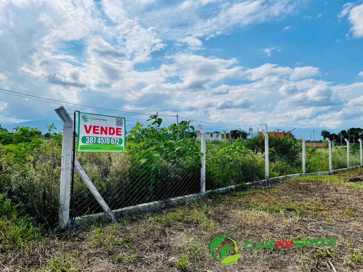 VENTA TERRENO CELESTINA SOBRE AVENIDA PRINCIPAL ASFALTADA TOTALMENTE ALAMBRADO