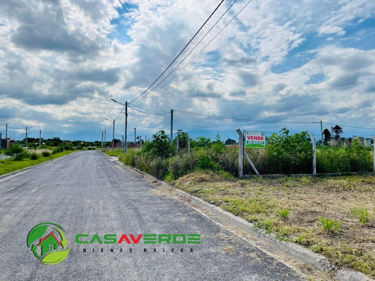 VENTA TERRENO CELESTINA SOBRE AVENIDA PRINCIPAL ASFALTADA TOTALMENTE ALAMBRADO