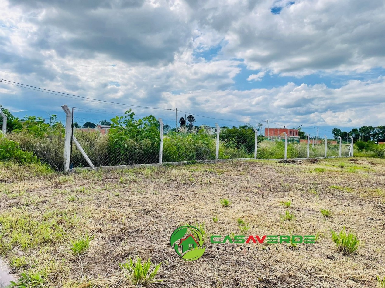 VENTA TERRENO CELESTINA SOBRE AVENIDA PRINCIPAL ASFALTADA TOTALMENTE ALAMBRADO